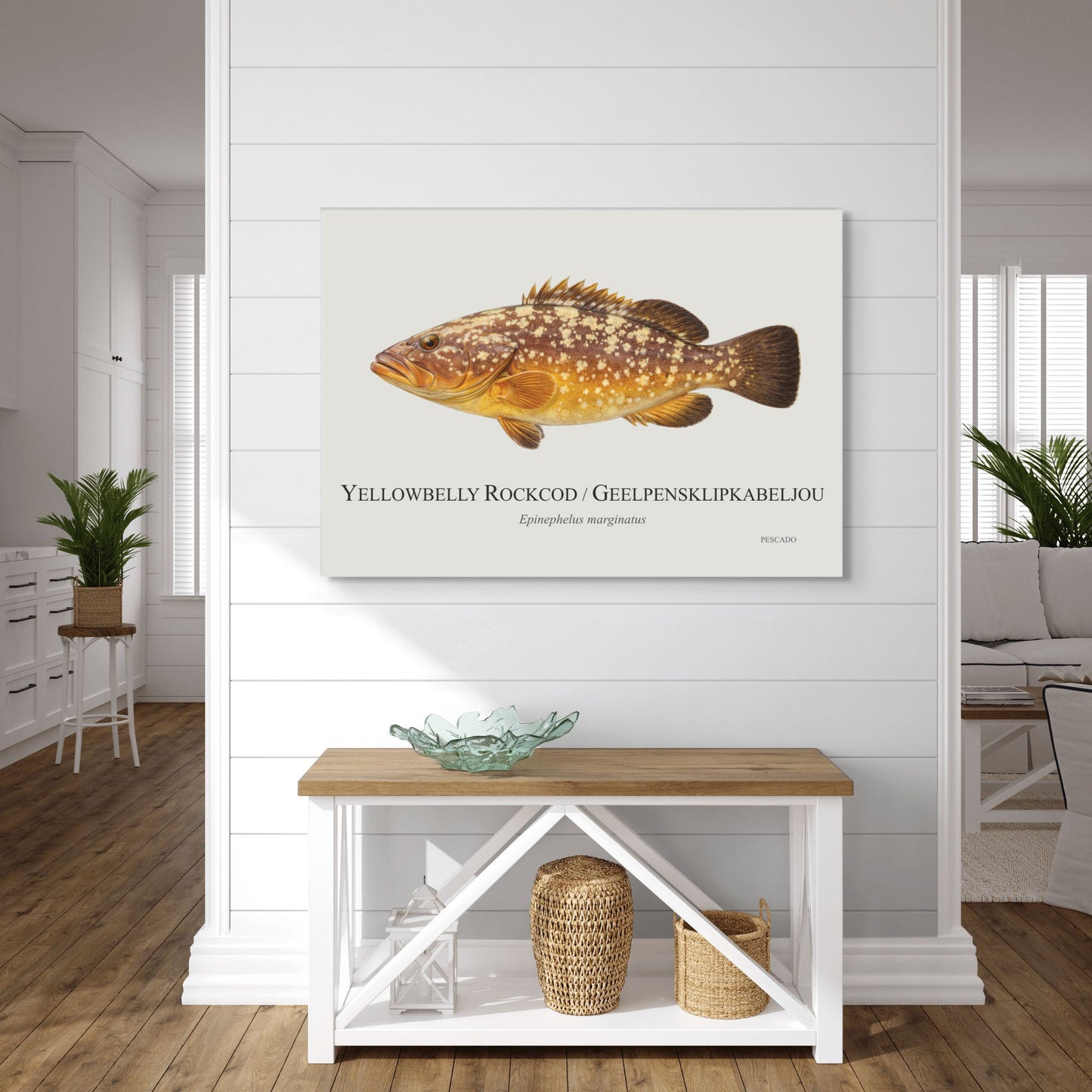 Yellowbelly Rockcod
