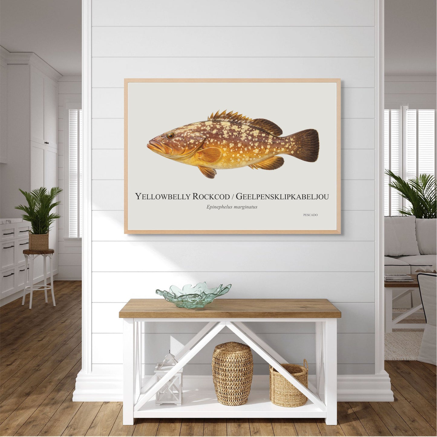 Yellowbelly Rockcod